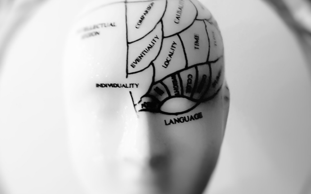 WHAT IS SEEMING BEHAVIOR IN PHILOSOPHY visual data 7