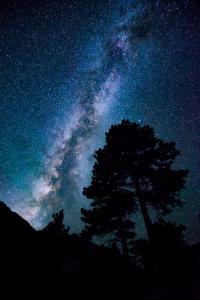 Mereology of potentiality mereology of potentiality