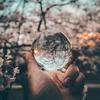 Stock Photo - Philosophy and Psychiatry - hand holding crystal ball