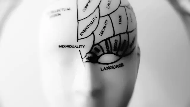 Philosophy of mind