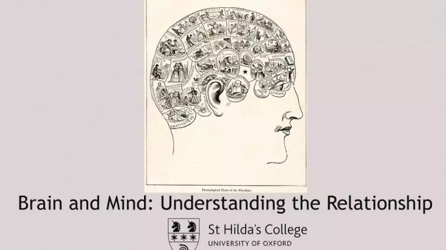 brain20and20mind20understanding20the20relationship