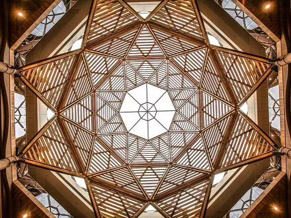 Schwarzman